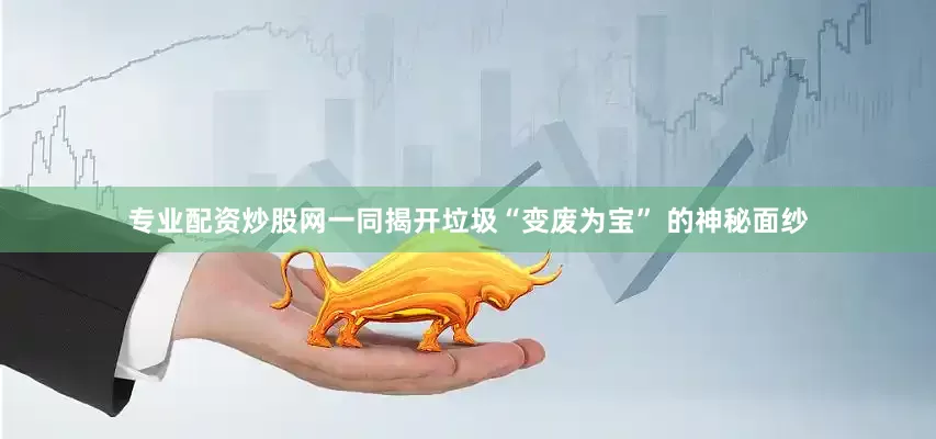 专业配资炒股网一同揭开垃圾“变废为宝” 的神秘面纱
